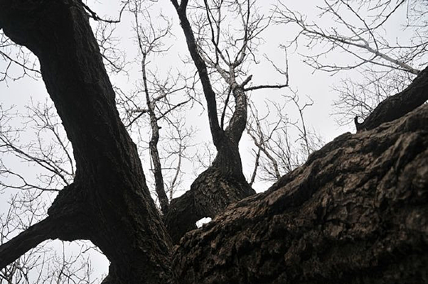 ���յ���