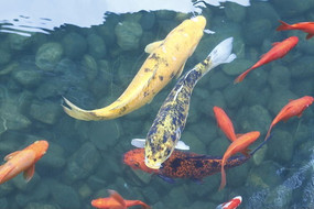 �������