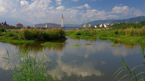 ����Զ��