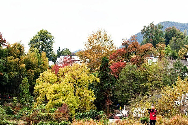 Ұ��������ɫ