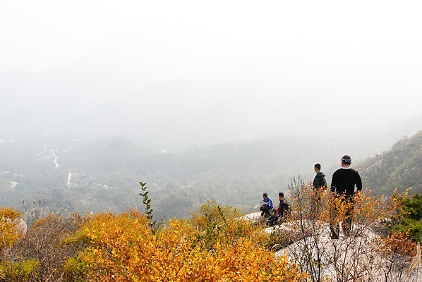 �＾�����ɽ