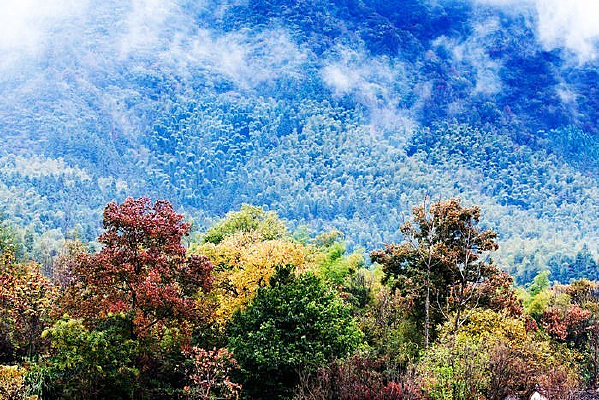 �＾��������