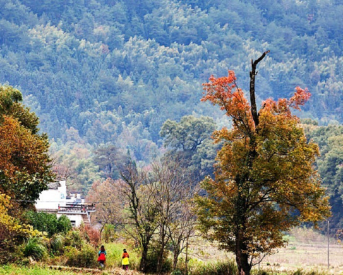 ����֮��