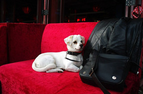 ɳ���ϵ�С��