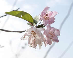 ���Ļ����Ĺ�