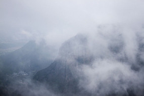 ����������ɭ��