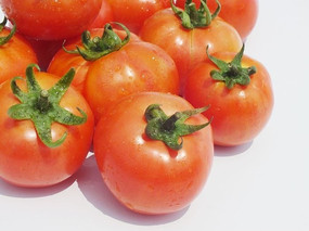 ������ެ����ɫ�߲�