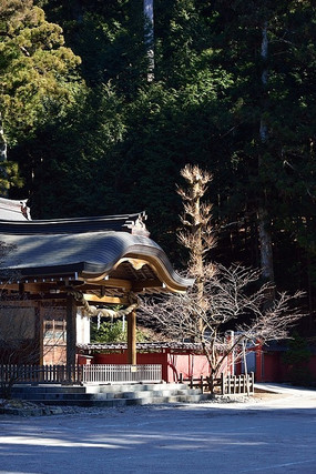 �ձ�����