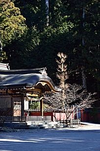 �ձ�����