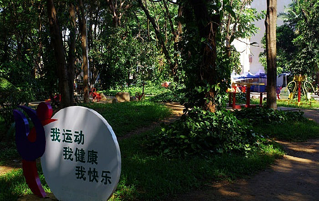 �������⹫԰�е�����