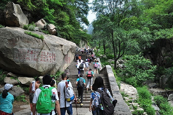 �����ŵ�