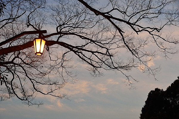 �ձ������񹬵�·��