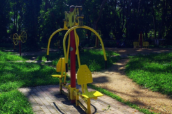 ���й�԰�еı���������е