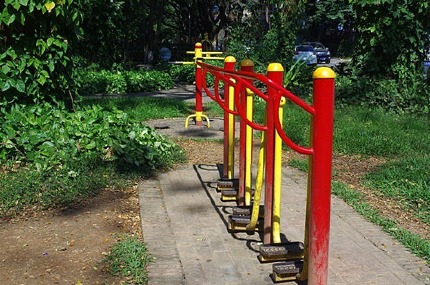 ���й�԰���߲�������е