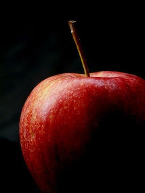 ��ƻ����д