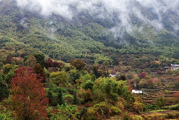 ����С��