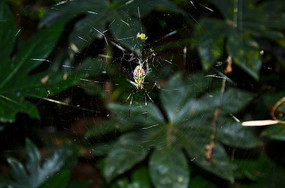 ֩����֩����