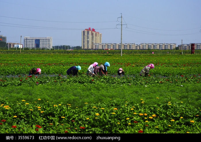 ������Ů��ͼƬ