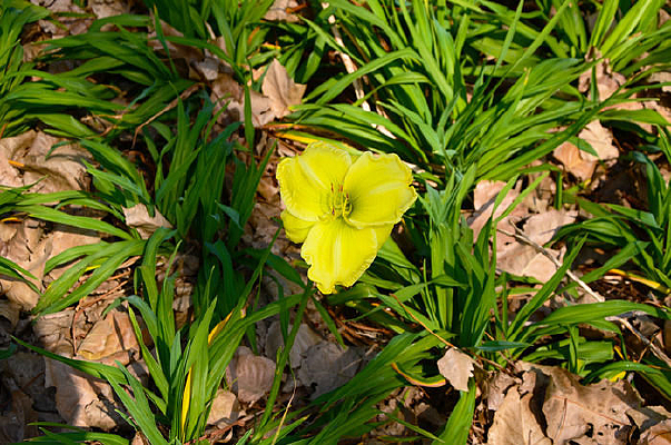 �ƻ���ݻ���