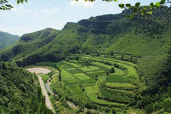 ��԰����