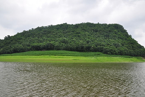 �ɻ�������