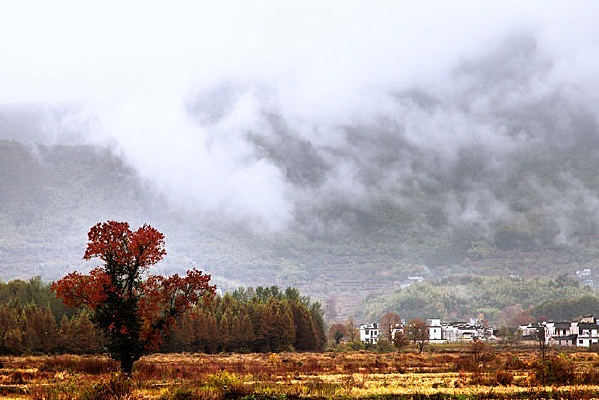 ��Ҷ�µĴ�ׯ