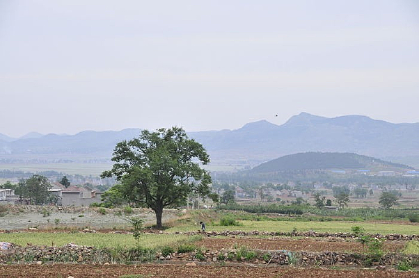 �������Ұ