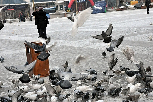 ����ĸ���