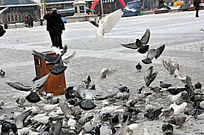 ����ĸ���