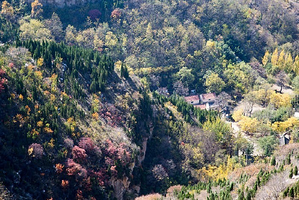 ��ɽ��С��