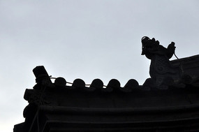 �ݶ�����