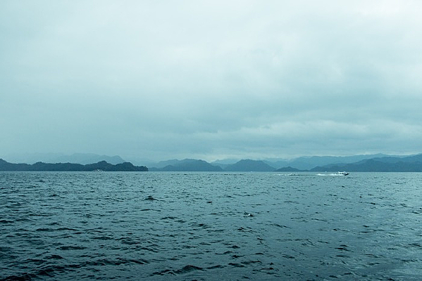 ǧ����������