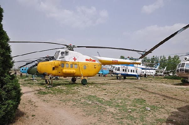 ����ֱ����