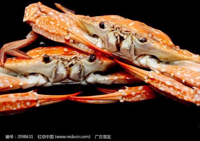 海鲜花蟹摆摄特写图片