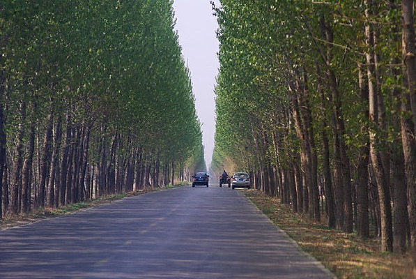 �����µĹ�·