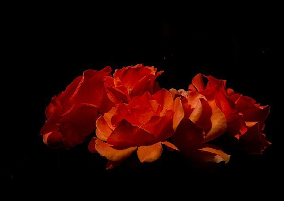 ��ʩ�����ۺڰ��еĺ�ɫ����