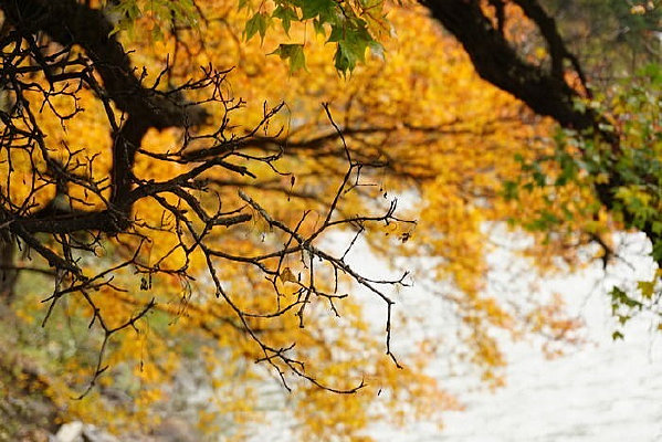 �����޲���