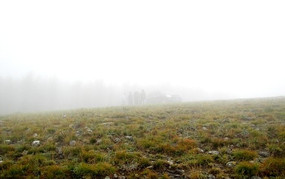 �ݵ����Ģ��