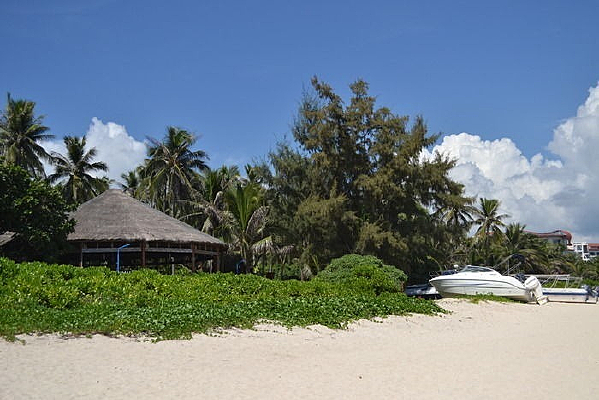 ���ߵ�С��