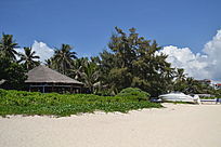 ���ߵ�С��