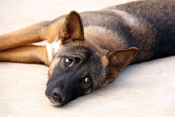 �޹�������