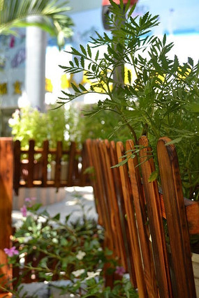 �������ֲ��