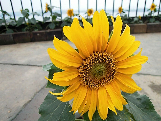 ��Ժ�����տ�