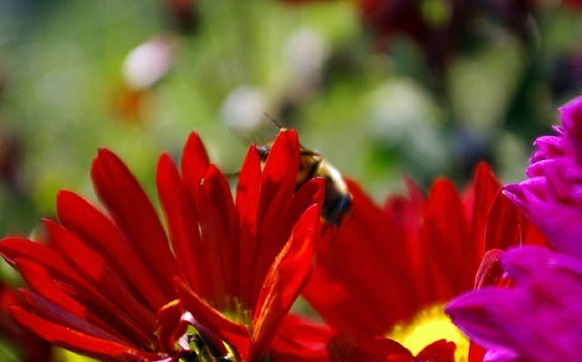 �ջ����۷�