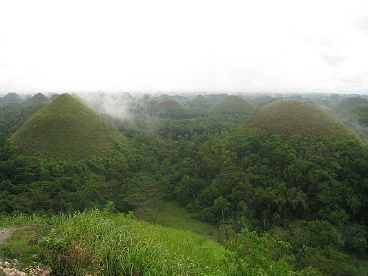 ï��ԭʼɭ��