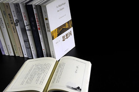 �����Ĺ���