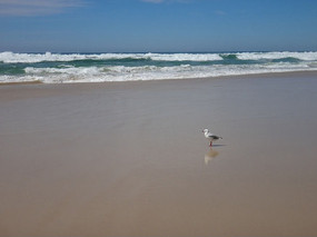 ��Ÿ�뺣��