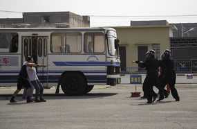 ������������ͽ������������