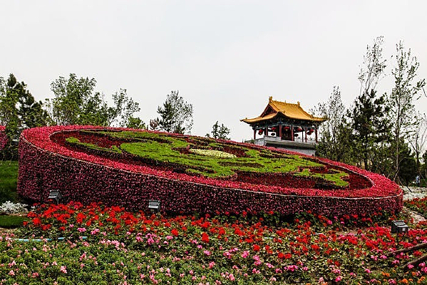 ��԰�̻���ͤ��