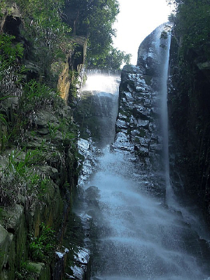 �������ٲ�